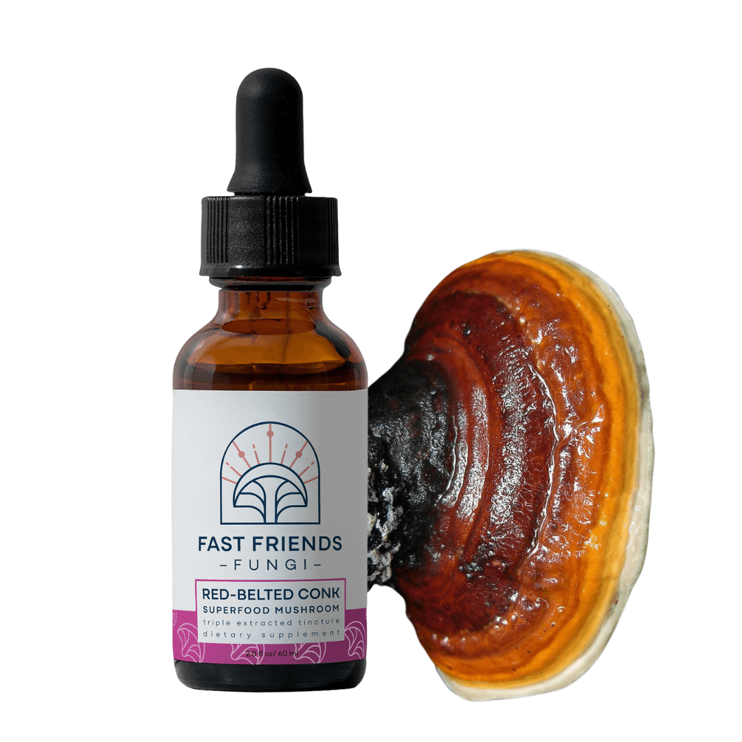 Red-Belted Conk Superfood Mushroom Tincture - Fast Friends Fungi